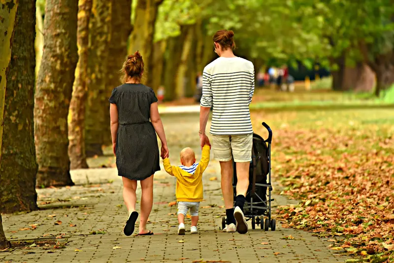 Estate Planning Law